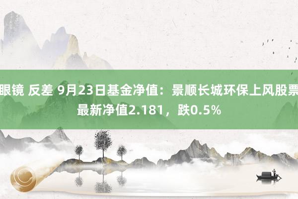 眼镜 反差 9月23日基金净值：景顺长城环保上风股票最新净值2.181，跌0.5%