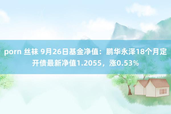 porn 丝袜 9月26日基金净值：鹏华永泽18个月定开债最新净值1.2055，涨0.53%