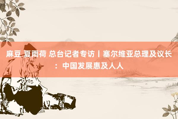 麻豆 夏雨荷 总台记者专访丨塞尔维亚总理及议长：中国发展惠及人人