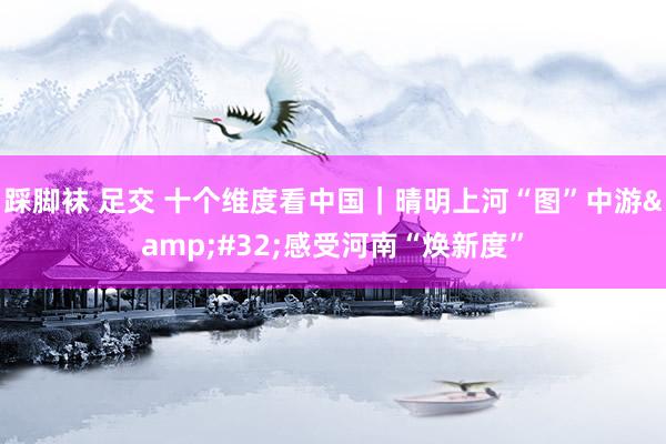 踩脚袜 足交 十个维度看中国｜晴明上河“图”中游&#32;感受河南“焕新度”