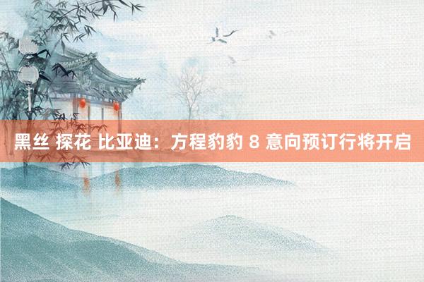 黑丝 探花 比亚迪：方程豹豹 8 意向预订行将开启