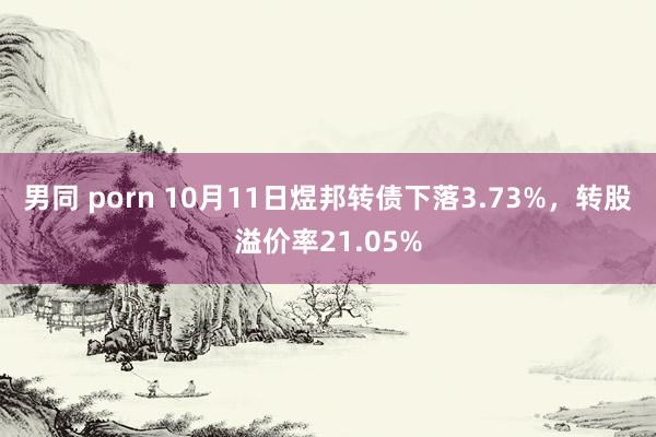男同 porn 10月11日煜邦转债下落3.73%，转股溢价率21.05%