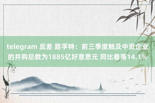 telegram 反差 路孚特：前三季度触及中资企业的并购总数为1885亿好意思元 同比着落14.1%