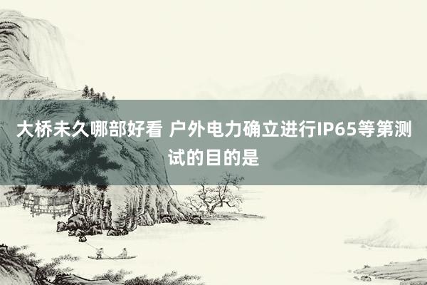 大桥未久哪部好看 户外电力确立进行IP65等第测试的目的是