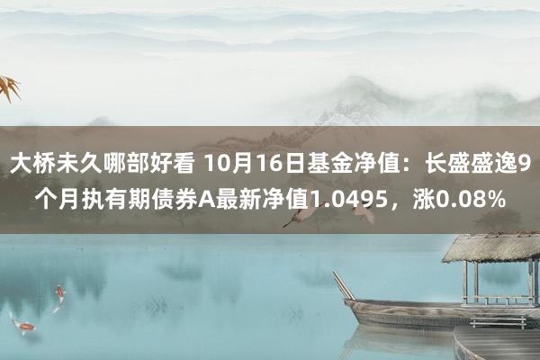 大桥未久哪部好看 10月16日基金净值：长盛盛逸9个月执有期债券A最新净值1.0495，涨0.08%