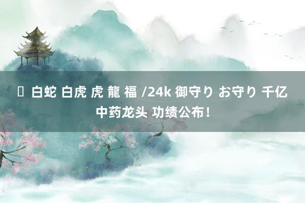 ✨白蛇 白虎 虎 龍 福 /24k 御守り お守り 千亿中药龙头 功绩公布！