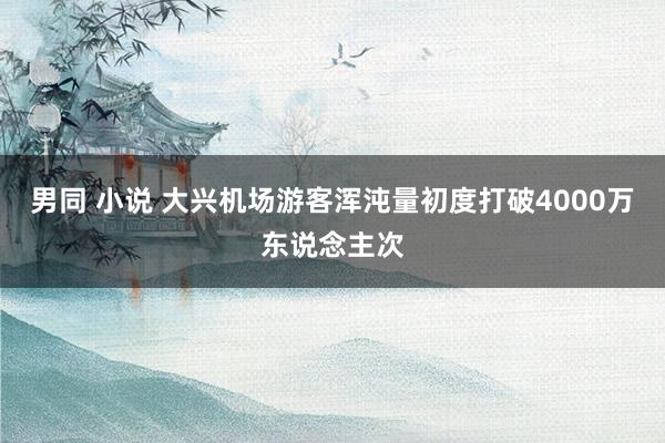 男同 小说 大兴机场游客浑沌量初度打破4000万东说念主次