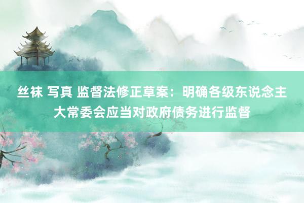 丝袜 写真 监督法修正草案：明确各级东说念主大常委会应当对政府债务进行监督