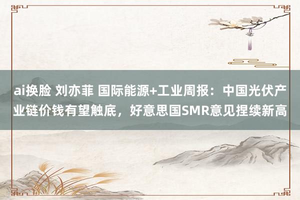 ai换脸 刘亦菲 国际能源+工业周报:中国光伏产业链价钱有望触底,好意思国SMR意见捏续新高