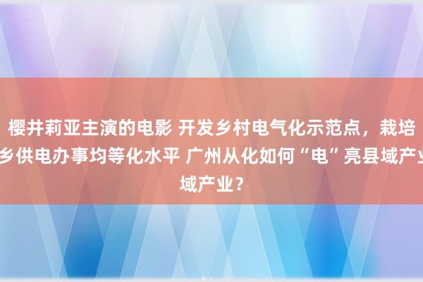 樱井莉亚主演的电影 开发乡村电气化示范点，栽培城乡供电办事均等化水平 广州从化如何“电”亮县域产业？