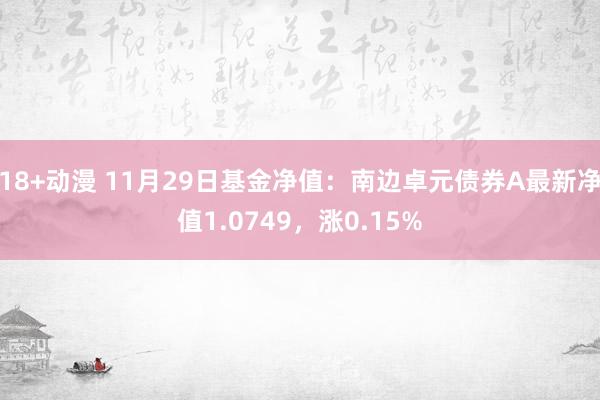 18+动漫 11月29日基金净值：南边卓元债券A最新净值1.0749，涨0.15%