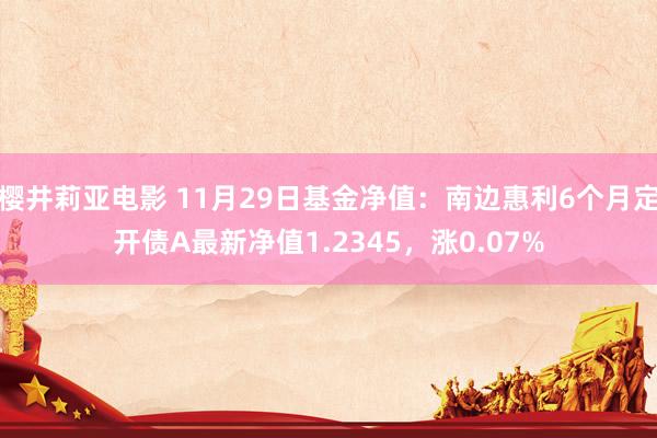 樱井莉亚电影 11月29日基金净值：南边惠利6个月定开债A最新净值1.2345，涨0.07%