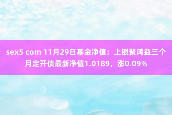 sex5 com 11月29日基金净值：上银聚鸿益三个月定开债最新净值1.0189，涨0.09%