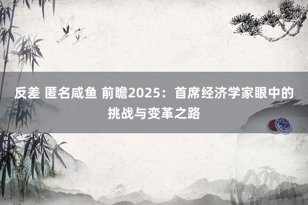 反差 匿名咸鱼 前瞻2025：首席经济学家眼中的挑战与变革之路