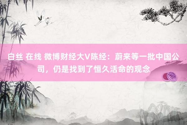 白丝 在线 微博财经大V陈经：蔚来等一批中国公司，仍是找到了恒久活命的观念