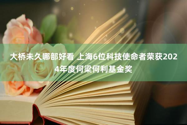 大桥未久哪部好看 上海6位科技使命者荣获2024年度何梁何利基金奖