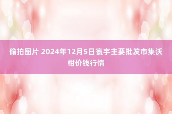 偷拍图片 2024年12月5日寰宇主要批发市集沃柑价钱行情