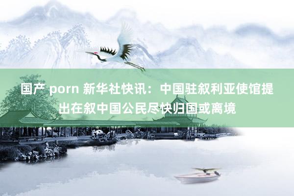 国产 porn 新华社快讯：中国驻叙利亚使馆提出在叙中国公民尽快归国或离境