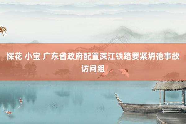 探花 小宝 广东省政府配置深江铁路要紧坍弛事故访问组
