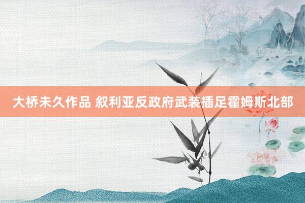 大桥未久作品 叙利亚反政府武装插足霍姆斯北部