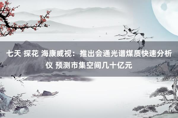七天 探花 海康威视：推出会通光谱煤质快速分析仪 预测市集空间几十亿元