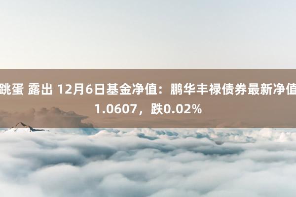 跳蛋 露出 12月6日基金净值：鹏华丰禄债券最新净值1.0607，跌0.02%
