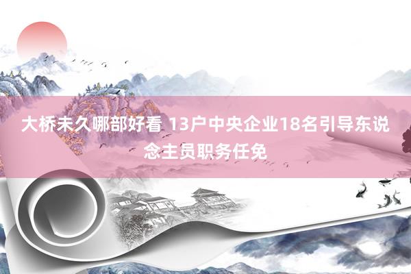 大桥未久哪部好看 13户中央企业18名引导东说念主员职务任免
