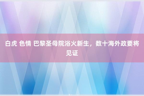 白虎 色情 巴黎圣母院浴火新生，数十海外政要将见证