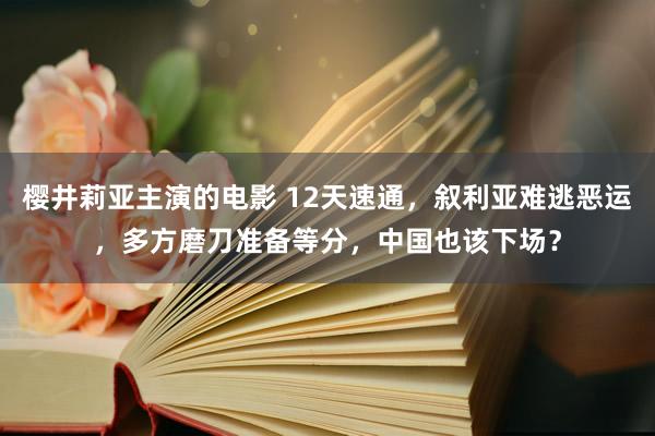 樱井莉亚主演的电影 12天速通，叙利亚难逃恶运，多方磨刀准备等分，中国也该下场？