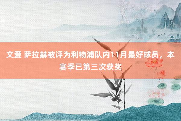 文爱 萨拉赫被评为利物浦队内11月最好球员，本赛季已第三次获奖