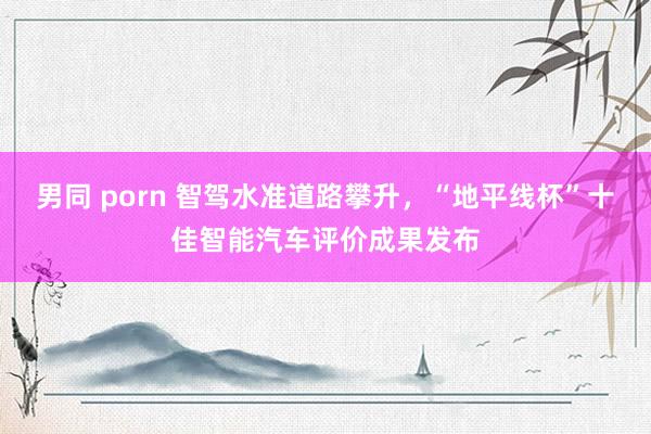 男同 porn 智驾水准道路攀升，“地平线杯”十佳智能汽车评价成果发布