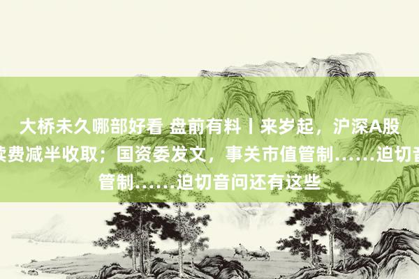 大桥未久哪部好看 盘前有料丨来岁起，沪深A股分成派息手续费减半收取；国资委发文，事关市值管制……迫切音问还有这些