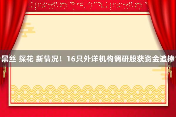 黑丝 探花 新情况！16只外洋机构调研股获资金追捧