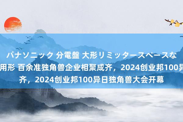 パナソニック 分電盤 大形リミッタースペースなし 露出・半埋込両用形 百余准独角兽企业相聚成齐，2024创业邦100异日独角兽大会开幕