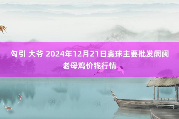 勾引 大爷 2024年12月21日寰球主要批发阛阓老母鸡价钱行情
