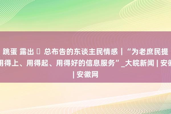 跳蛋 露出 ​总布告的东谈主民情感｜“为老庶民提供用得上、用得起、用得好的信息服务”_大皖新闻 | 安徽网