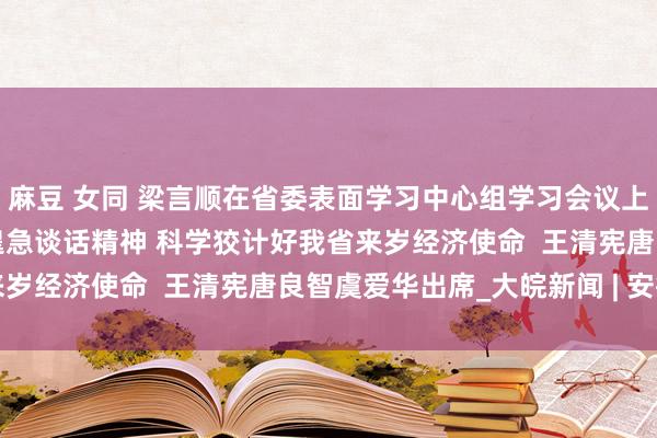 麻豆 女同 梁言顺在省委表面学习中心组学习会议上强调  学深悟透总通知遑急谈话精神 科学狡计好我省来岁经济使命  王清宪唐良智虞爱华出席_大皖新闻 | 安徽网