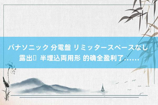 パナソニック 分電盤 リミッタースペースなし 露出・半埋込両用形 的确全盈利了……