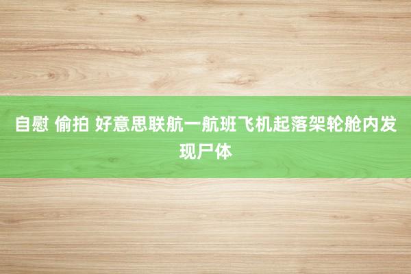 自慰 偷拍 好意思联航一航班飞机起落架轮舱内发现尸体