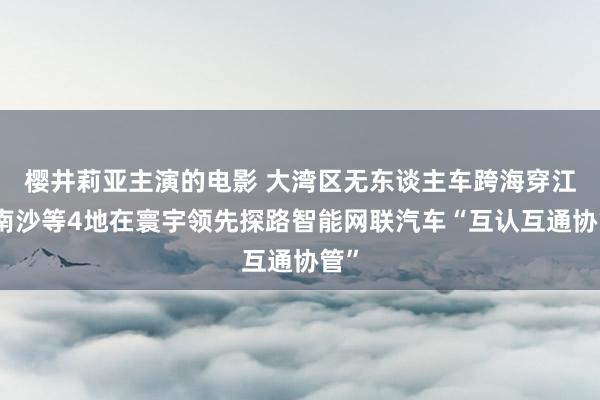 樱井莉亚主演的电影 大湾区无东谈主车跨海穿江：南沙等4地在寰宇领先探路智能网联汽车“互认互通协管”