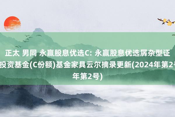 正太 男同 永赢股息优选C: 永赢股息优选羼杂型证券投资基金(C份额)基金家具云尔摘录更新(2024年第2号)