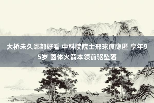 大桥未久哪部好看 中科院院士邢球痕隐匿 享年95岁 固体火箭本领前驱坠落