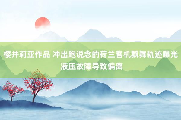 樱井莉亚作品 冲出跑说念的荷兰客机飘舞轨迹曝光 液压故障导致偏离