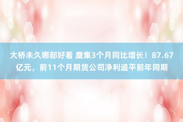 大桥未久哪部好看 麇集3个月同比增长！87.67亿元，前11个月期货公司净利追平前年同期