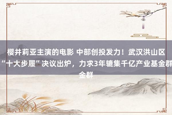 樱井莉亚主演的电影 中部创投发力！武汉洪山区“十大步履”决议出炉，力求3年辘集千亿产业基金群