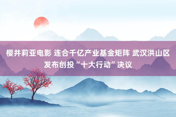 樱井莉亚电影 连合千亿产业基金矩阵 武汉洪山区发布创投“十大行动”决议