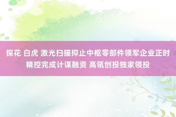 探花 白虎 激光扫描抑止中枢零部件领军企业正时精控完成计谋融资 高瓴创投独家领投