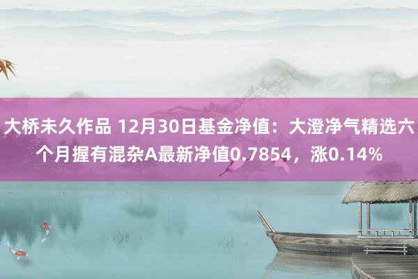 大桥未久作品 12月30日基金净值：大澄净气精选六个月握有混杂A最新净值0.7854，涨0.14%