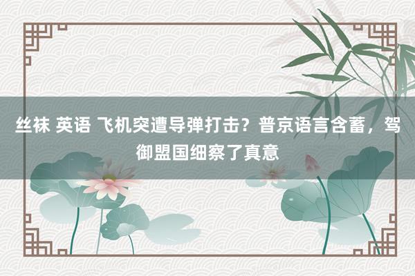 丝袜 英语 飞机突遭导弹打击？普京语言含蓄，驾御盟国细察了真意