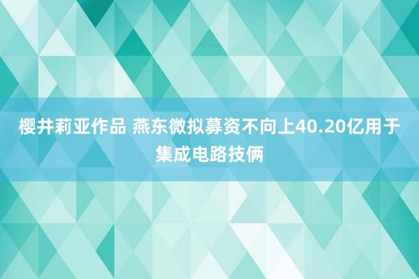 樱井莉亚作品 燕东微拟募资不向上40.20亿用于集成电路技俩